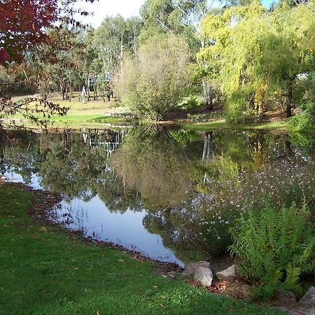 Granite Gardens Cottages & Lake Retreat Stanthorpe Eksteriør billede