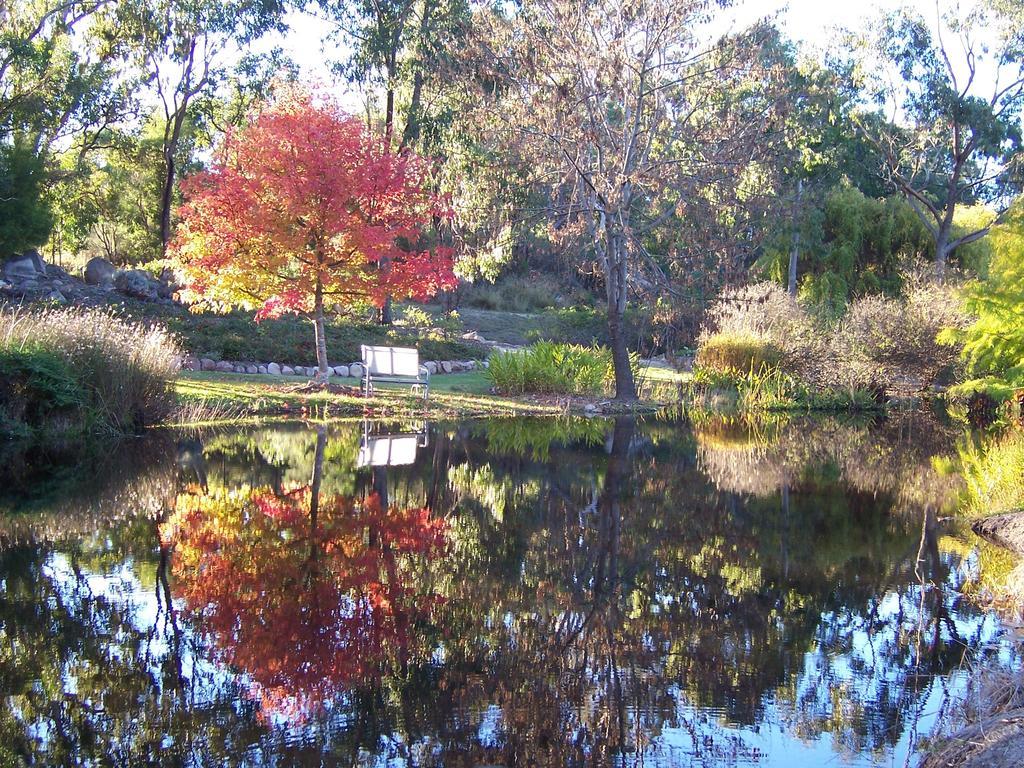 Granite Gardens Cottages & Lake Retreat Stanthorpe Eksteriør billede