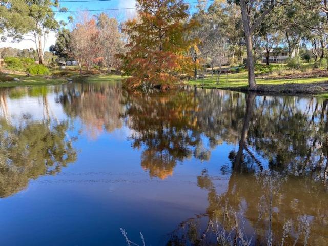 Granite Gardens Cottages & Lake Retreat Stanthorpe Eksteriør billede