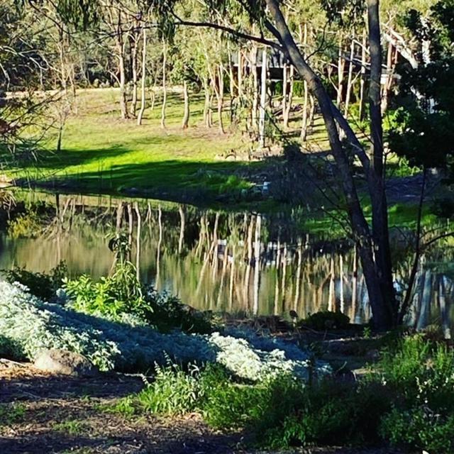 Granite Gardens Cottages & Lake Retreat Stanthorpe Eksteriør billede