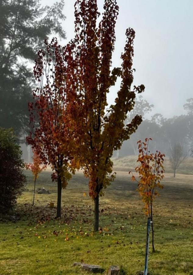 Granite Gardens Cottages & Lake Retreat Stanthorpe Eksteriør billede