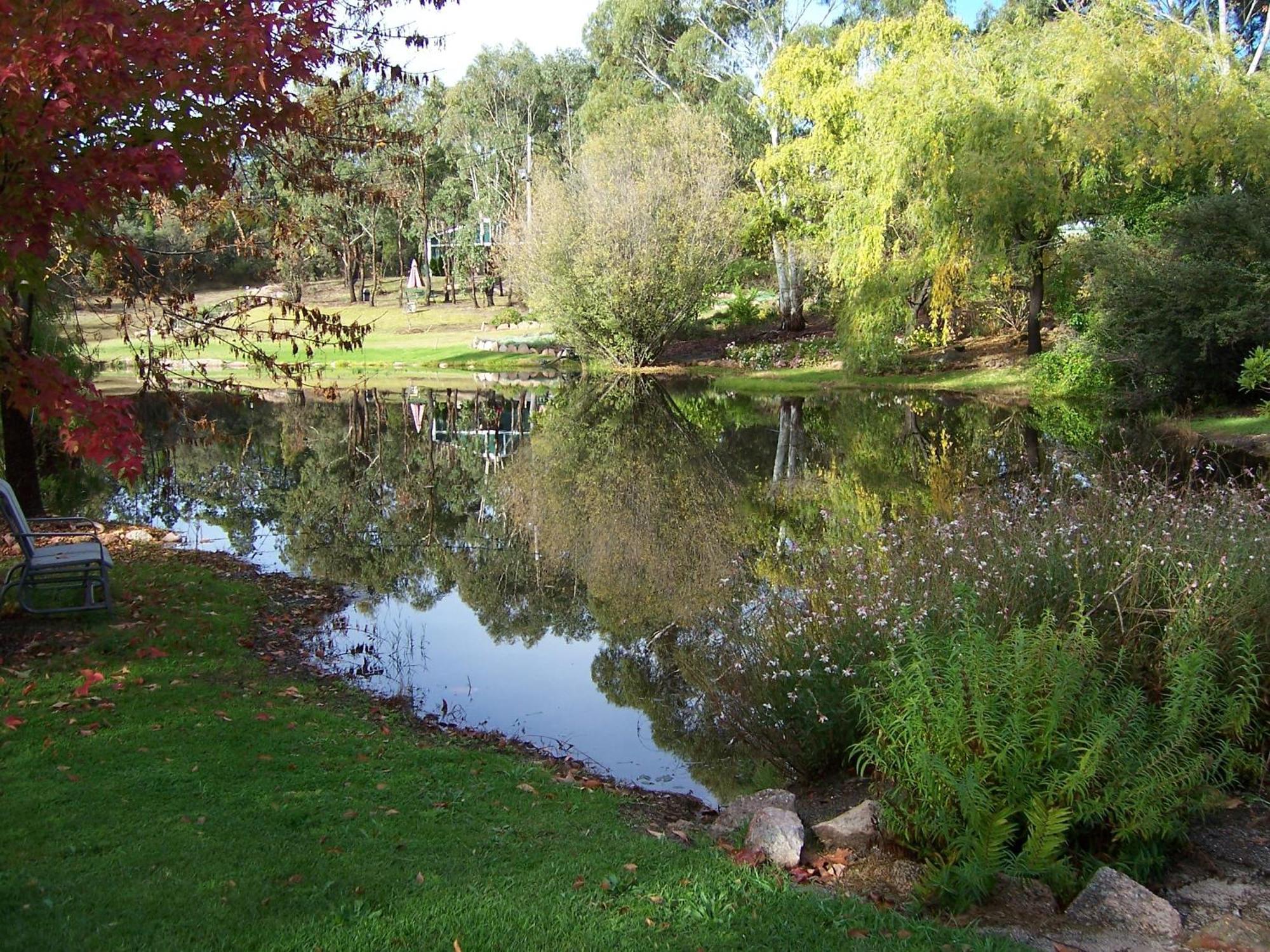 Granite Gardens Cottages & Lake Retreat Stanthorpe Eksteriør billede