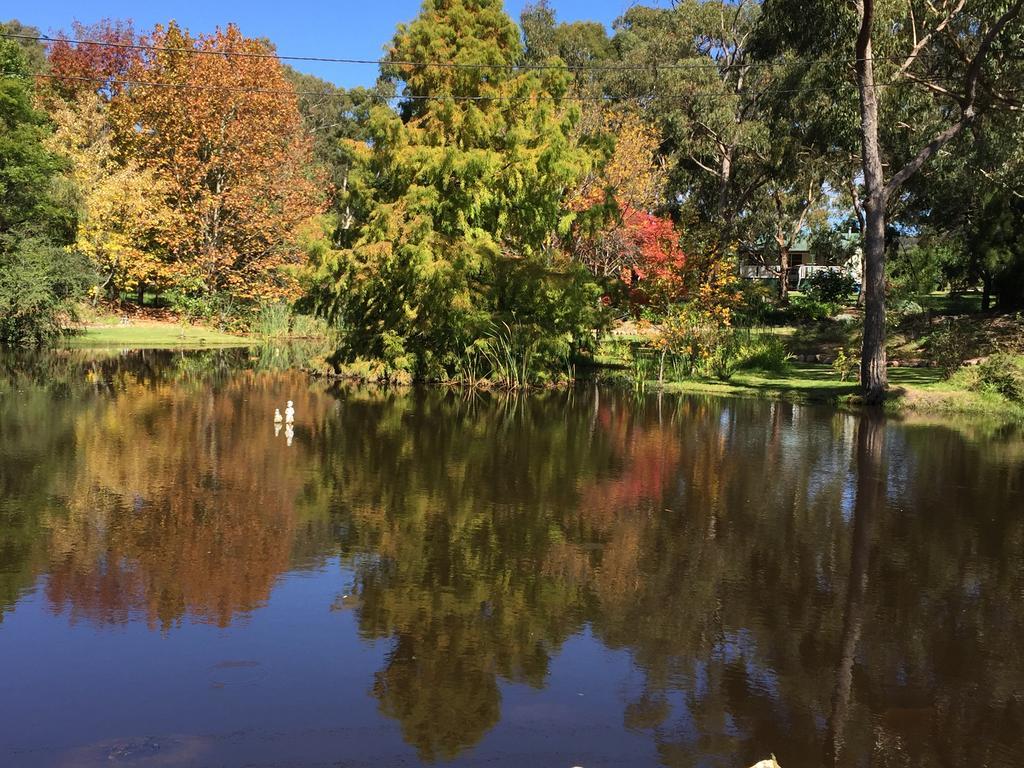 Granite Gardens Cottages & Lake Retreat Stanthorpe Eksteriør billede