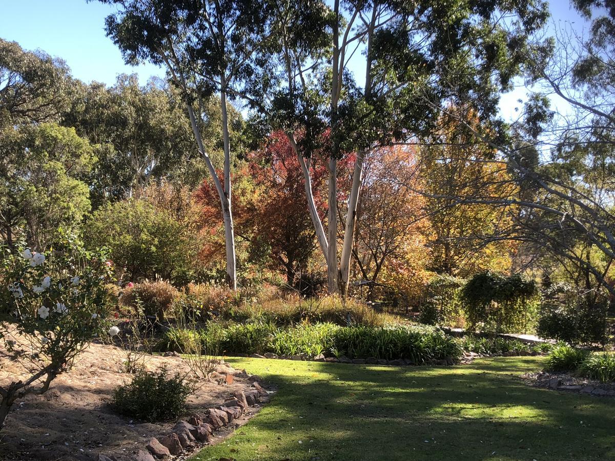 Granite Gardens Cottages & Lake Retreat Stanthorpe Eksteriør billede