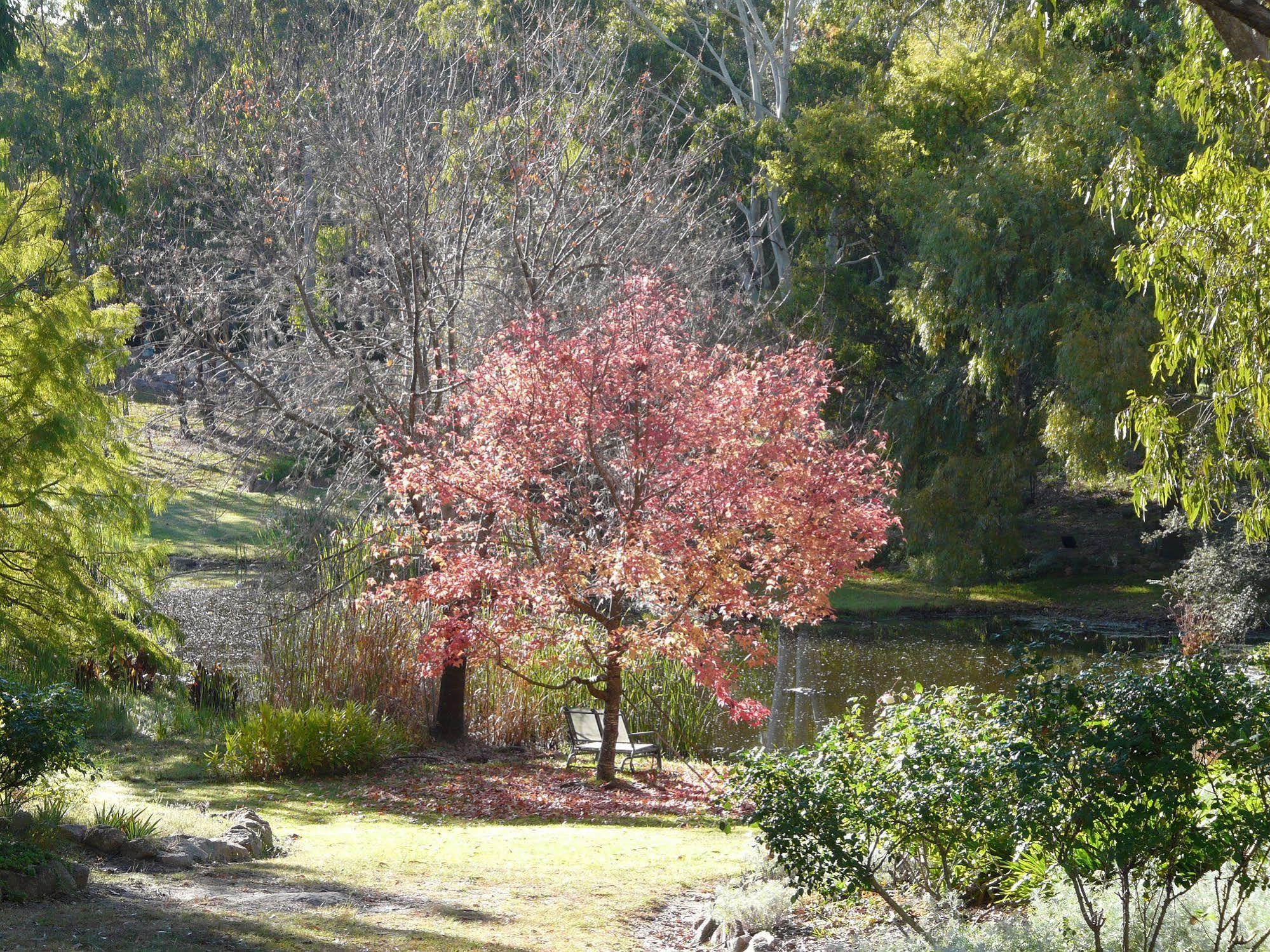 Granite Gardens Cottages & Lake Retreat Stanthorpe Eksteriør billede